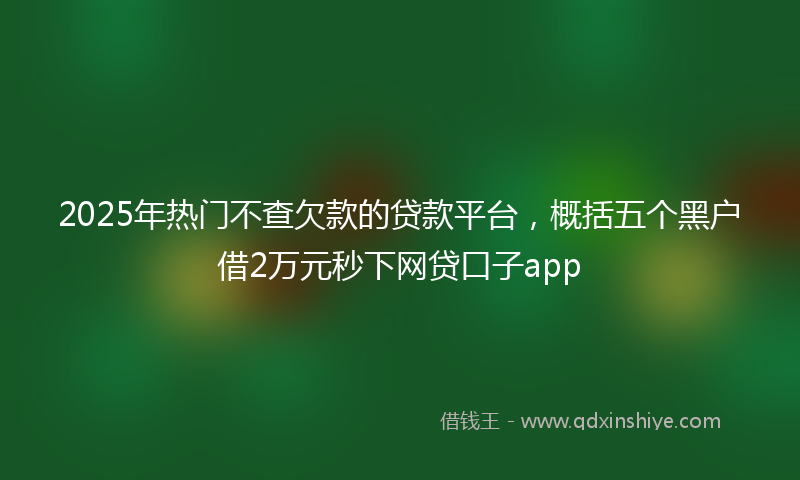 2025年热门不查欠款的贷款平台，概括五个黑户借2万元秒下网贷口子app