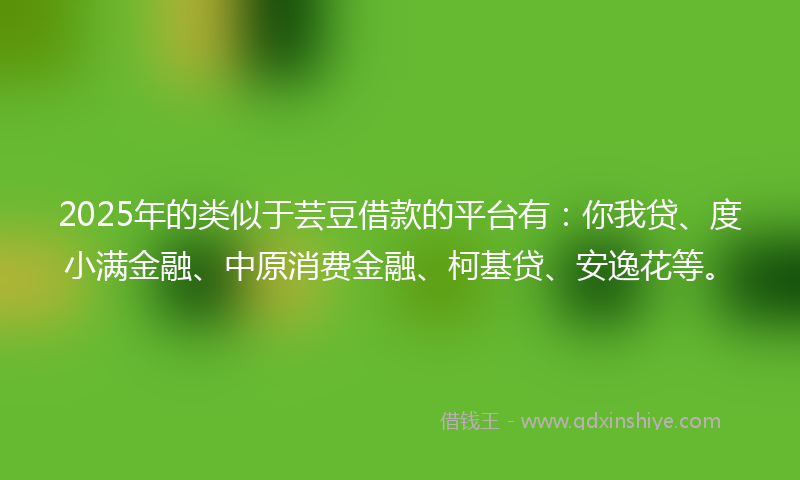 2025年的类似于芸豆借款的平台有：你我贷、度小满金融、中原消费金融、柯基贷、安逸花等。
