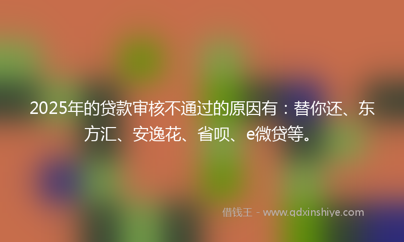 2025年的贷款审核不通过的原因有：替你还、东方汇、安逸花、省呗、e微贷等。