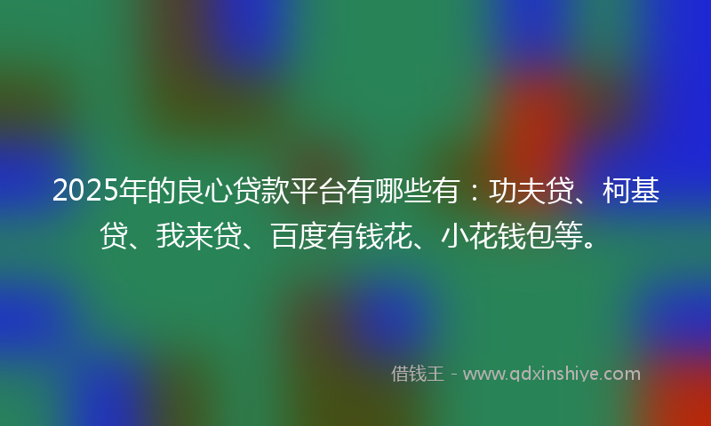 2025年的良心贷款平台有哪些有：功夫贷、柯基贷、我来贷、百度有钱花、小花钱包等。