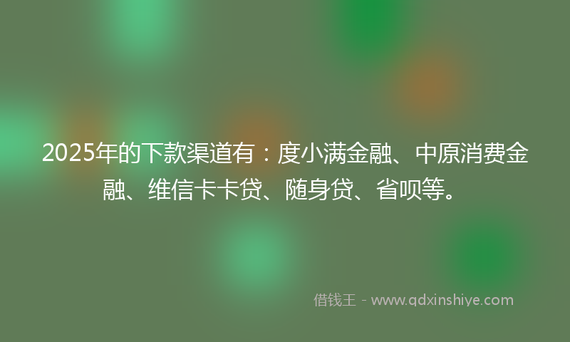 2025年的下款渠道有：度小满金融、中原消费金融、维信卡卡贷、随身贷、省呗等。