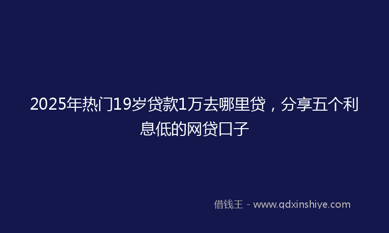 2025年热门19岁贷款1万去哪里贷，分享五个利息低的网贷口子