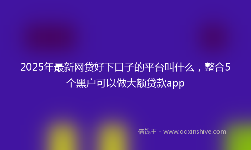 2025年最新网贷好下口子的平台叫什么，整合5个黑户可以做大额贷款app