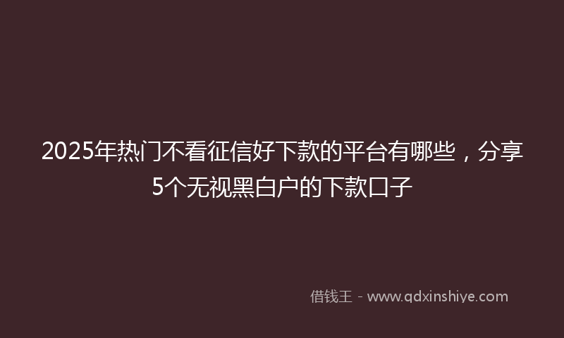 2025年热门不看征信好下款的平台有哪些，分享5个无视黑白户的下款口子