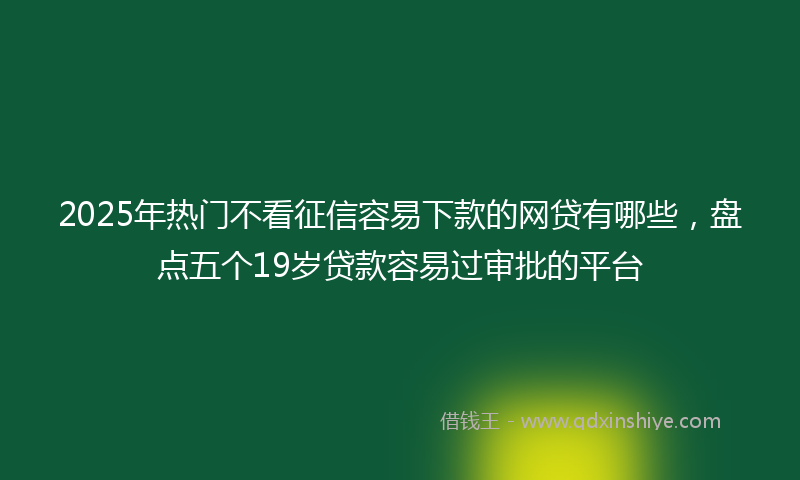 2025年热门不看征信容易下款的网贷有哪些，盘点五个19岁贷款容易过审批的平台