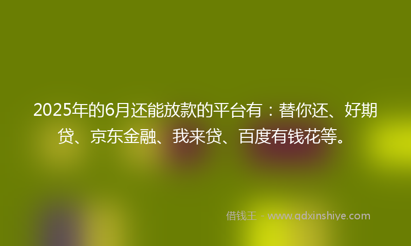 2025年的6月还能放款的平台有：替你还、好期贷、京东金融、我来贷、百度有钱花等。
