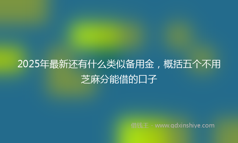 2025年最新还有什么类似备用金，概括五个不用芝麻分能借的口子