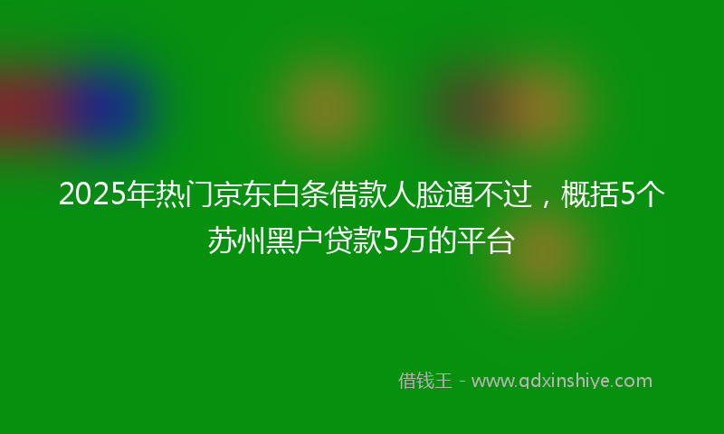 2025年热门京东白条借款人脸通不过，概括5个苏州黑户贷款5万的平台