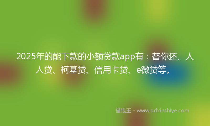 2025年的能下款的小额贷款app有：替你还、人人贷、柯基贷、信用卡贷、e微贷等。