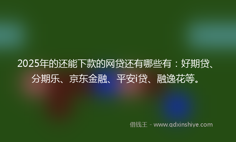 2025年的还能下款的网贷还有哪些有：好期贷、分期乐、京东金融、平安i贷、融逸花等。