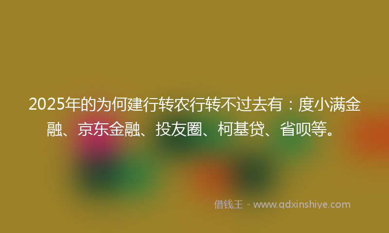 2025年的为何建行转农行转不过去有：度小满金融、京东金融、投友圈、柯基贷、省呗等。
