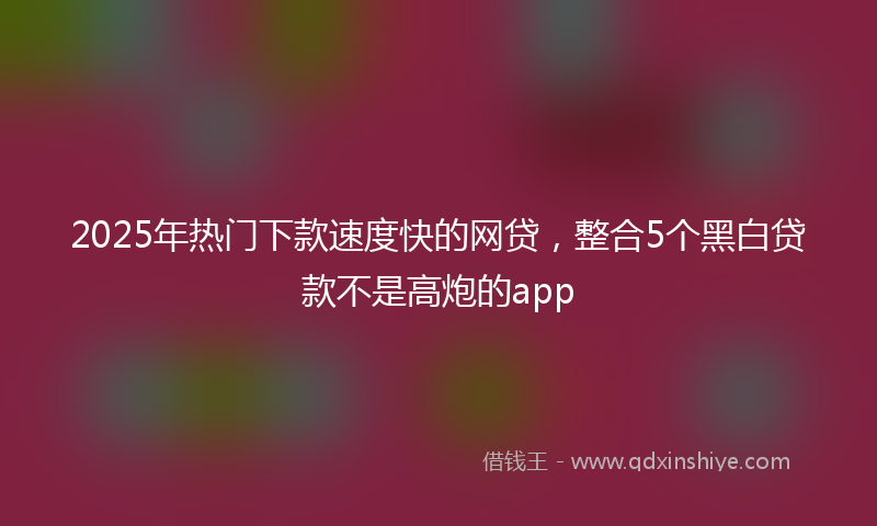 2025年热门下款速度快的网贷，整合5个黑白贷款不是高炮的app