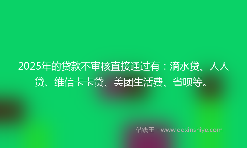 2025年的贷款不审核直接通过有：滴水贷、人人贷、维信卡卡贷、美团生活费、省呗等。