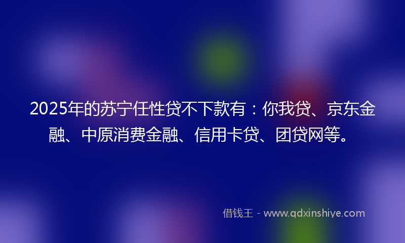 2025年的苏宁任性贷不下款有：你我贷、京东金融、中原消费金融、信用卡贷、团贷网等。