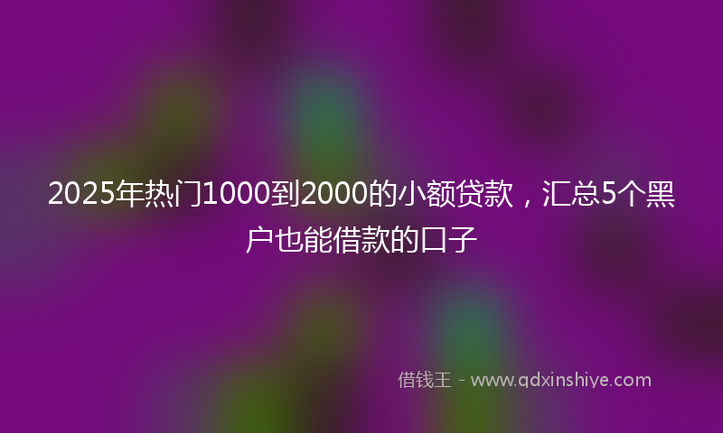2025年热门1000到2000的小额贷款，汇总5个黑户也能借款的口子
