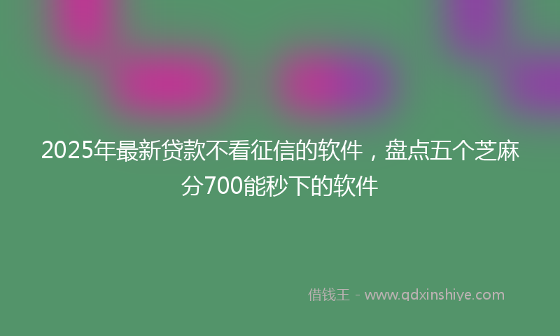 2025年最新贷款不看征信的软件，盘点五个芝麻分700能秒下的软件