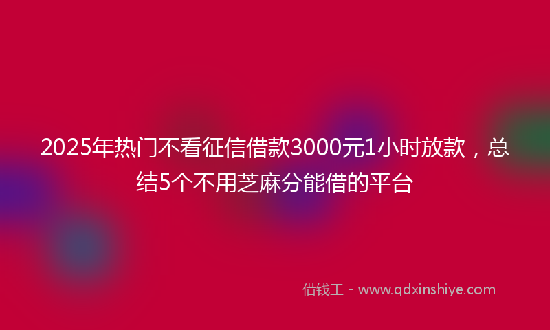 2025年热门不看征信借款3000元1小时放款，总结5个不用芝麻分能借的平台
