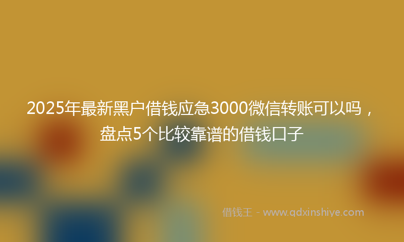 2025年最新黑户借钱应急3000微信转账可以吗，盘点5个比较靠谱的借钱口子