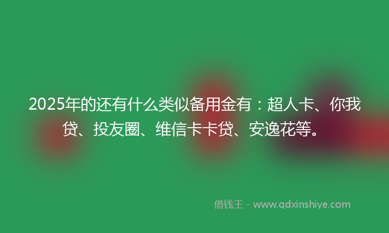 2025年的还有什么类似备用金有：超人卡、你我贷、投友圈、维信卡卡贷、安逸花等。