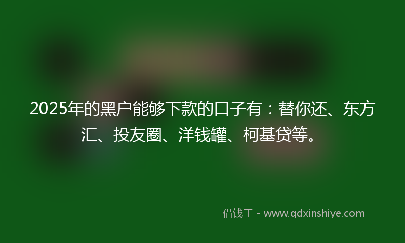 2025年的黑户能够下款的口子有：替你还、东方汇、投友圈、洋钱罐、柯基贷等。