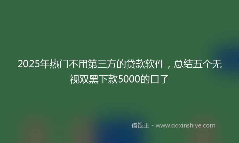 2025年热门不用第三方的贷款软件，总结五个无视双黑下款5000的口子