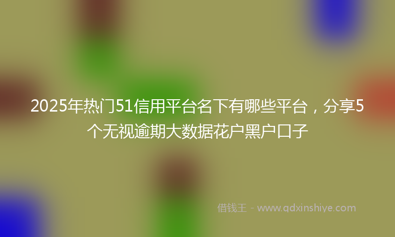 2025年热门51信用平台名下有哪些平台，分享5个无视逾期大数据花户黑户口子