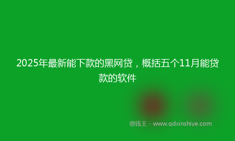 2025年最新能下款的黑网贷，概括五个11月能贷款的软件