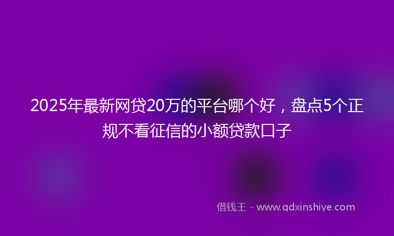 2025年最新网贷20万的平台哪个好，盘点5个正规不看征信的小额贷款口子