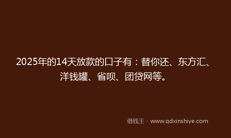 2025年的14天放款的口子有：替你还、东方汇、洋钱罐、省呗、团贷网等。
