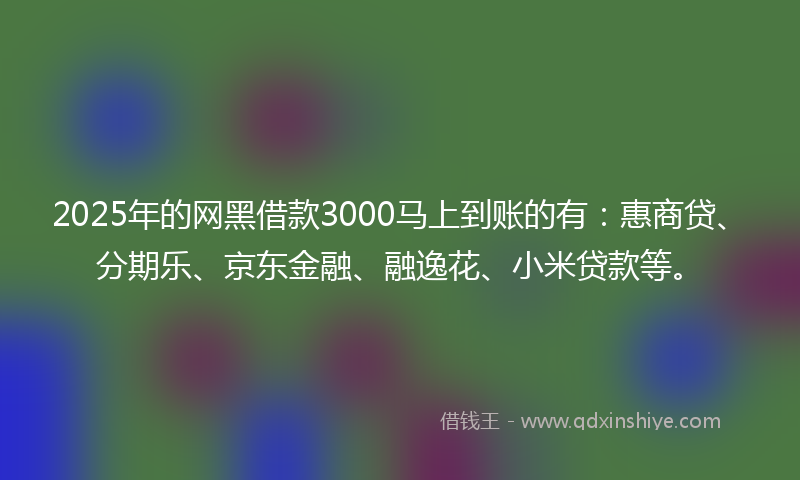 2025年的网黑借款3000马上到账的有：惠商贷、分期乐、京东金融、融逸花、小米贷款等。