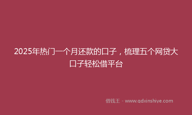 2025年热门一个月还款的口子，梳理五个网贷大口子轻松借平台
