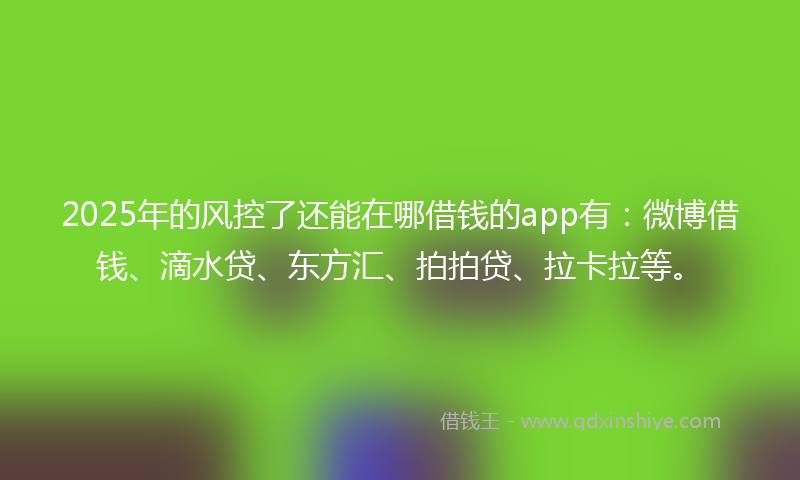 2025年的风控了还能在哪借钱的app有：微博借钱、滴水贷、东方汇、拍拍贷、拉卡拉等。