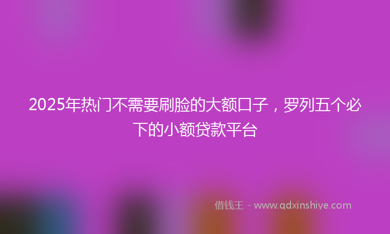 2025年热门不需要刷脸的大额口子，罗列五个必下的小额贷款平台