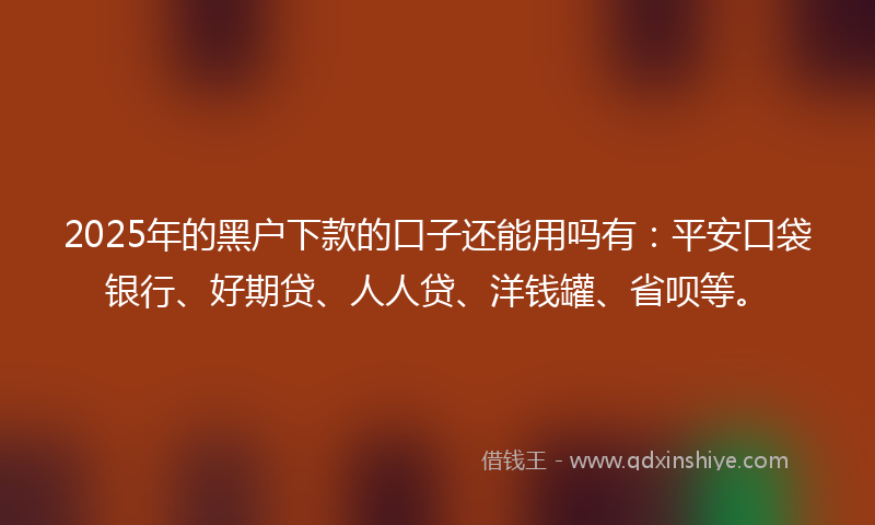 2025年的黑户下款的口子还能用吗有：平安口袋银行、好期贷、人人贷、洋钱罐、省呗等。
