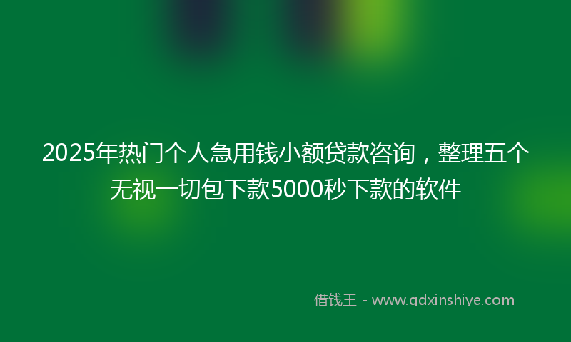 2025年热门个人急用钱小额贷款咨询，整理五个无视一切包下款5000秒下款的软件