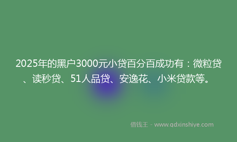 2025年的黑户3000元小贷百分百成功有：微粒贷、读秒贷、51人品贷、安逸花、小米贷款等。