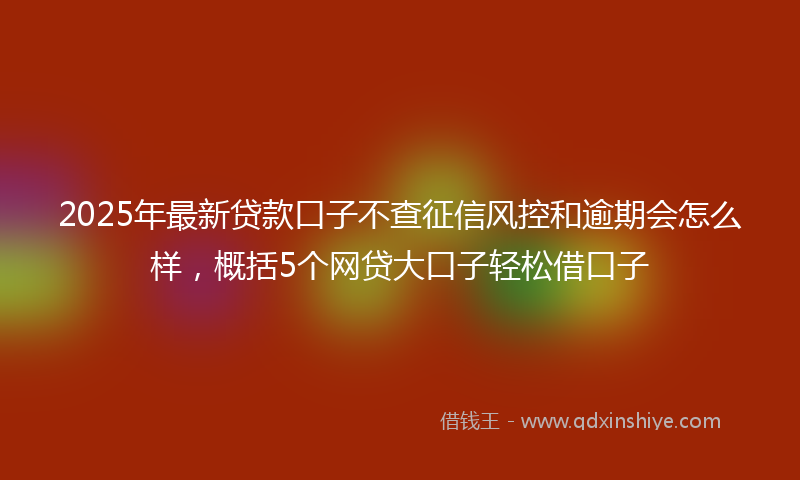 2025年最新贷款口子不查征信风控和逾期会怎么样，概括5个网贷大口子轻松借口子