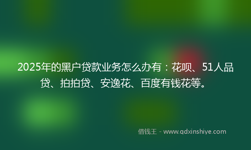 2025年的黑户贷款业务怎么办有：花呗、51人品贷、拍拍贷、安逸花、百度有钱花等。