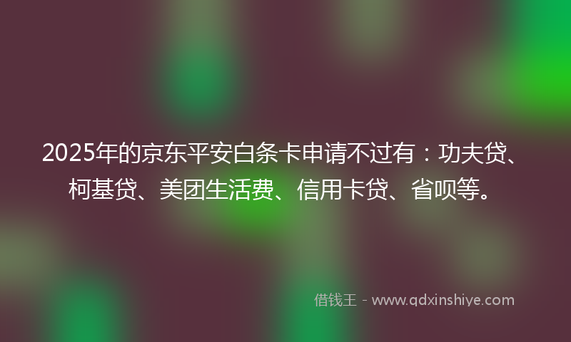 2025年的京东平安白条卡申请不过有：功夫贷、柯基贷、美团生活费、信用卡贷、省呗等。