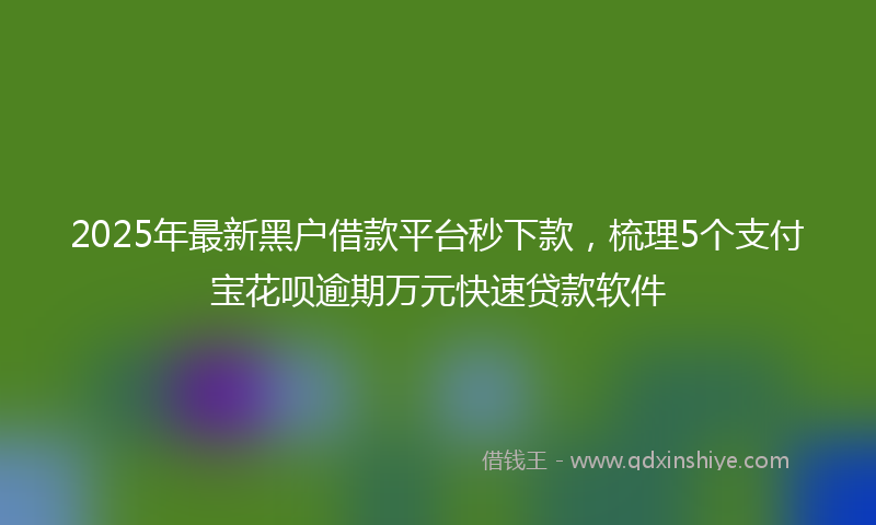 2025年最新黑户借款平台秒下款，梳理5个支付宝花呗逾期万元快速贷款软件