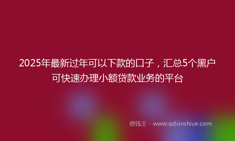 2025年最新过年可以下款的口子,汇总5个黑户可快速办理小额贷款业务的平台