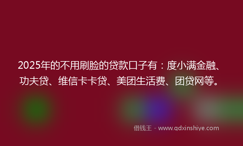 2025年的不用刷脸的贷款口子有：度小满金融、功夫贷、维信卡卡贷、美团生活费、团贷网等。