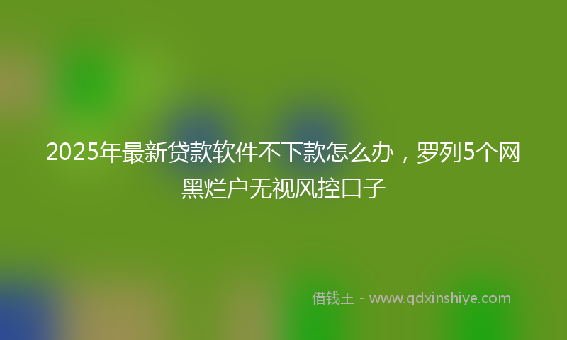 2025年最新贷款软件不下款怎么办，罗列5个网黑烂户无视风控口子