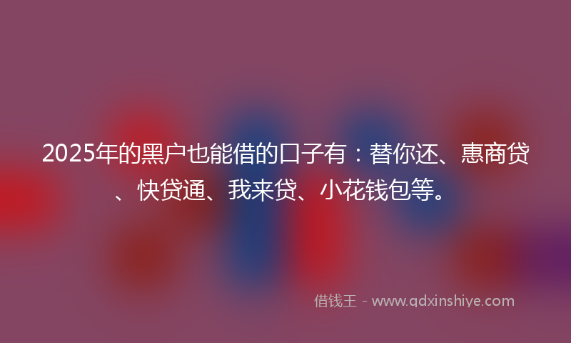 2025年的黑户也能借的口子有：替你还、惠商贷、快贷通、我来贷、小花钱包等。