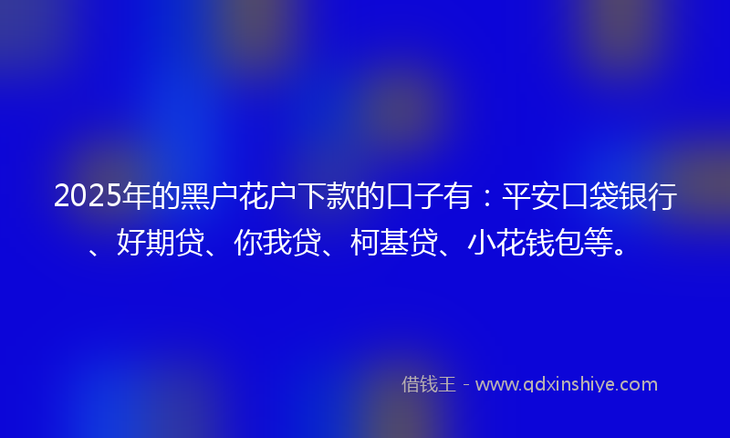2025年的黑户花户下款的口子有：平安口袋银行、好期贷、你我贷、柯基贷、小花钱包等。