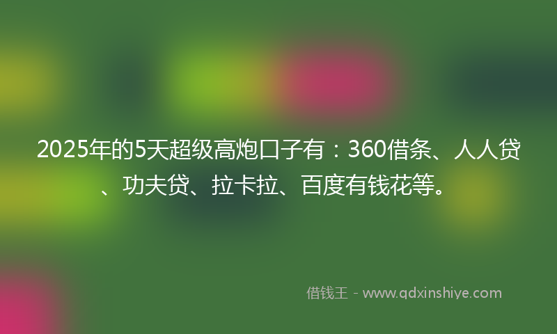 2025年的5天超级高炮口子有：360借条、人人贷、功夫贷、拉卡拉、百度有钱花等。
