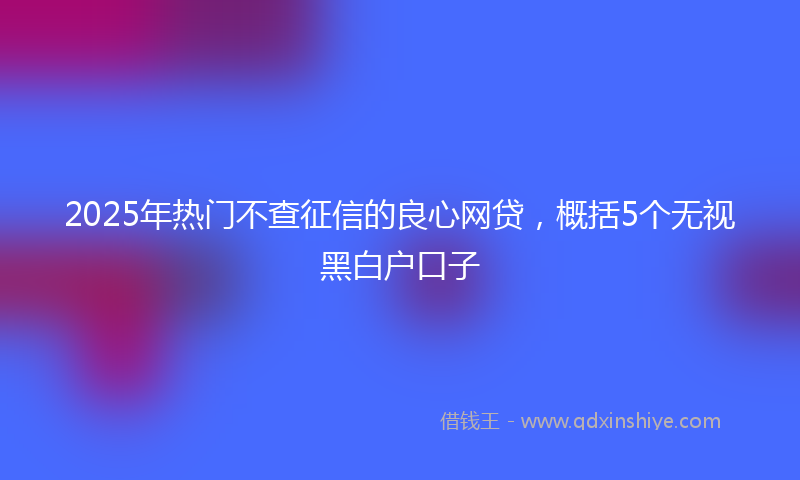 2025年热门不查征信的良心网贷，概括5个无视黑白户口子