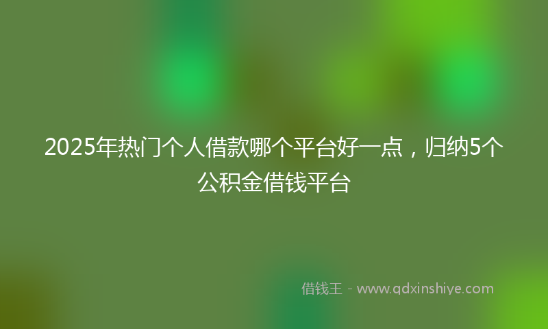 2025年热门个人借款哪个平台好一点，归纳5个公积金借钱平台