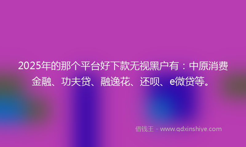 2025年的那个平台好下款无视黑户有：中原消费金融、功夫贷、融逸花、还呗、e微贷等。