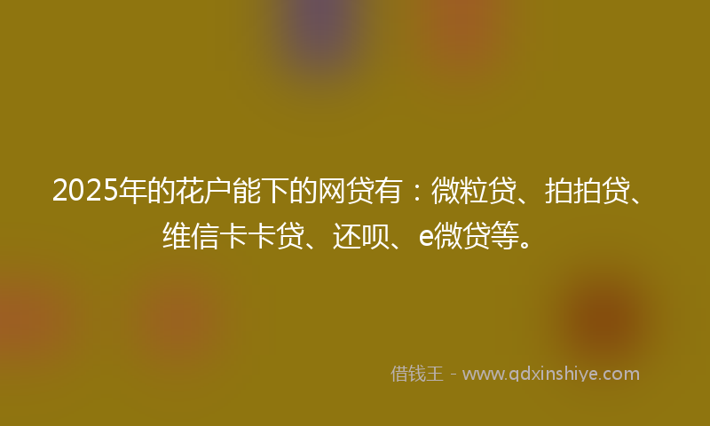 2025年的花户能下的网贷有：微粒贷、拍拍贷、维信卡卡贷、还呗、e微贷等。